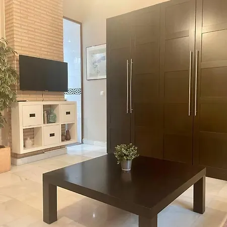Apartment Acogedor Loft+parking Junto A Catedral Seville